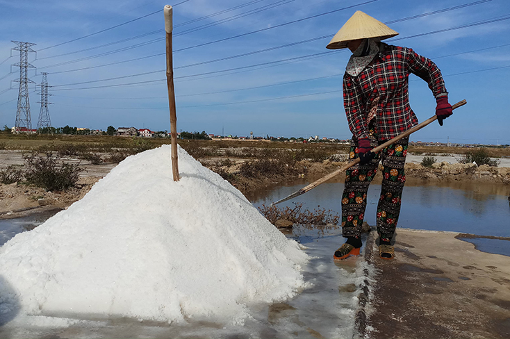 Hy vọng mới cho hạt muối Quảng Phú