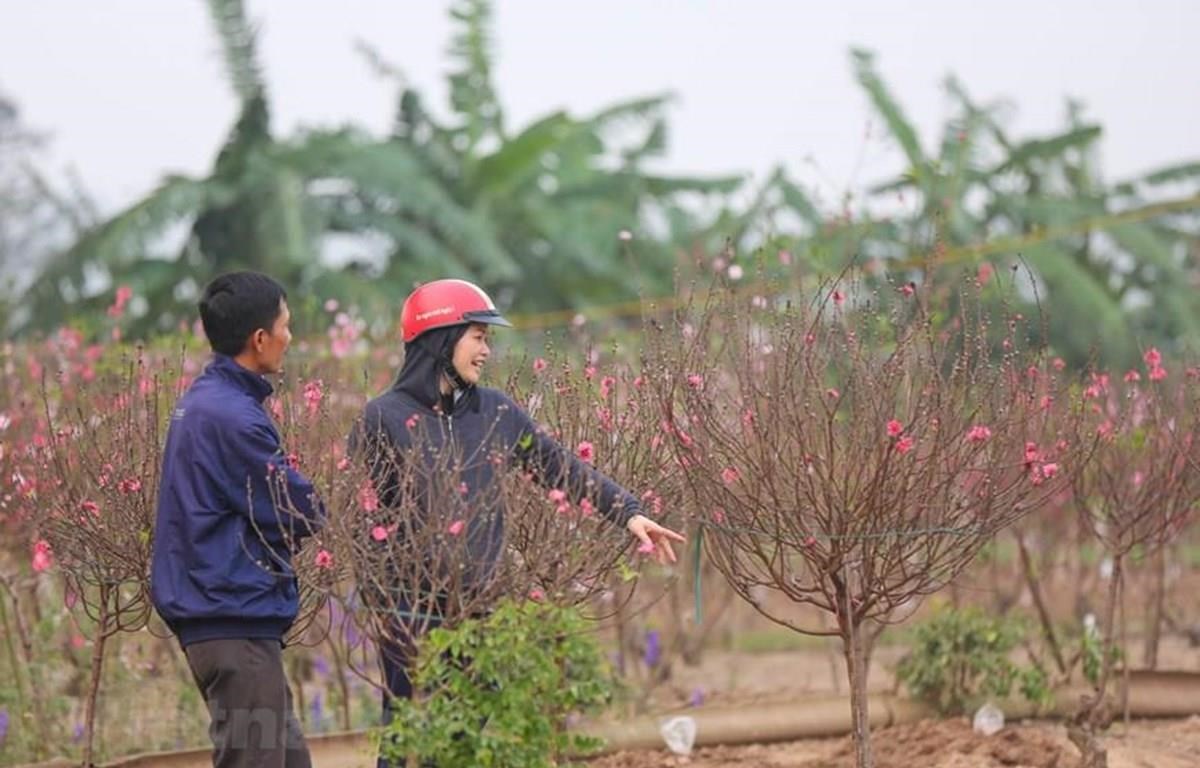 Bộ Lao động chính thức thông báo lịch nghỉ Tết, nghỉ lễ năm 2021
