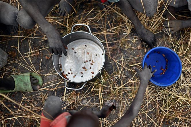 WFP cảnh báo về một 'đại dịch đói' tồi tệ hơn đại dịch COVID-19