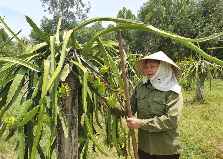 Khi chính quyền và người dân đồng lòng
