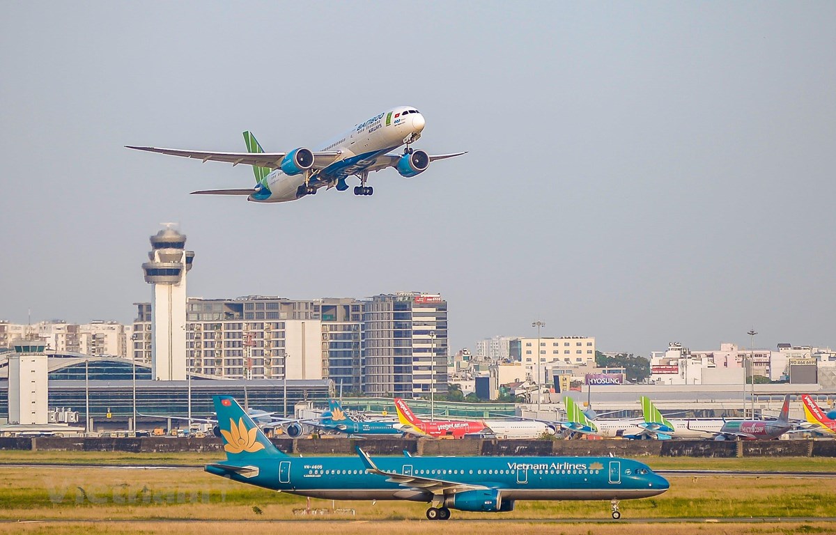 Hàng không nhận vận chuyển đào, mai dịp Tết Tân Sửu 2021