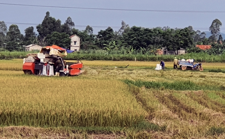 Tích cực đưa nghị quyết đại hội Đảng các cấp vào cuộc sống