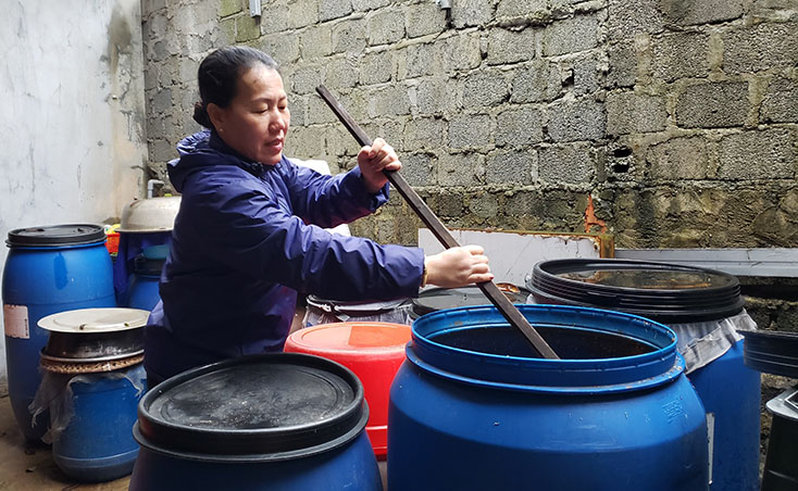 "Triệu phú" làng biển