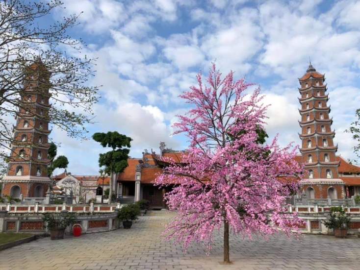 Bảo tồn và phát huy giá trị các di tích lịch sử, văn hóa