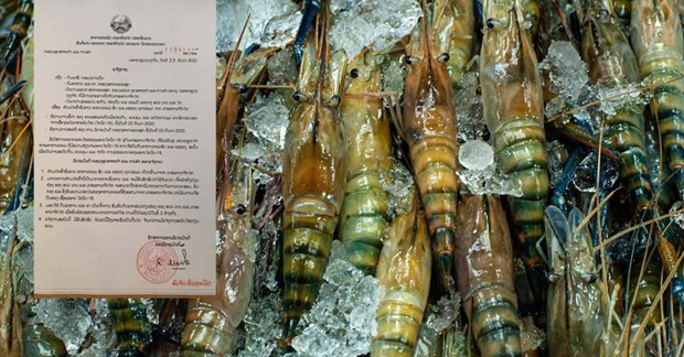Lào cấm nhập khẩu hải sản từ Thái Lan sau khi bùng phát dịch mới