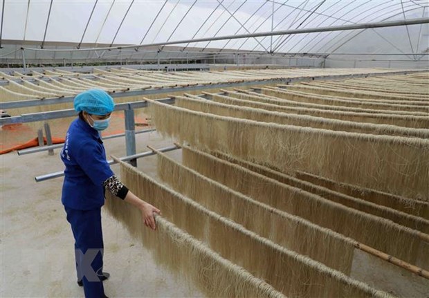 Cả nước có 3.200 sản phẩm OCOP, nhiều chủ thể là hợp tác xã