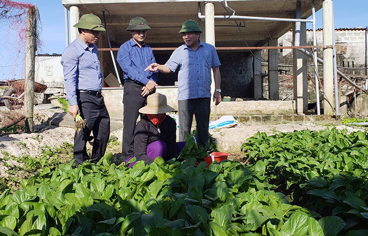 Đồng chí Phó Chủ tịch Thường trực UBND tỉnh kiểm tra tình hình sản xuất vụ đông-xuân tại Lệ Thuỷ
