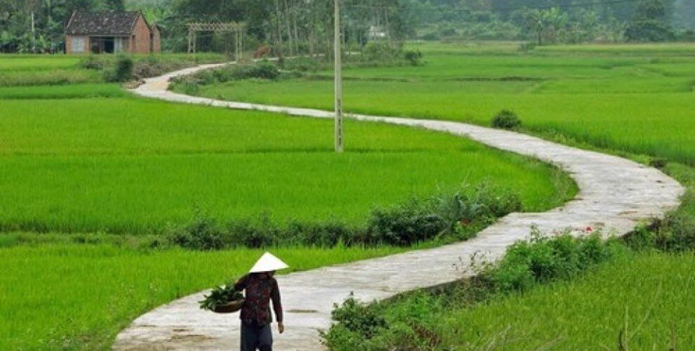 Cuối năm về lại…