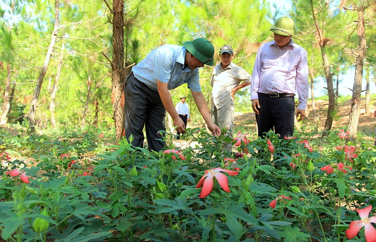 Xuân ấm... tình đất, tình người