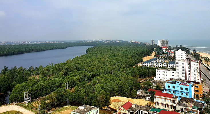Giấc mơ "rừng trong thành phố"