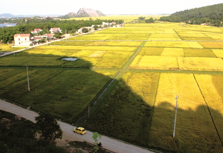 Những ngày đơn vị dừng chân tại Quảng Tiên