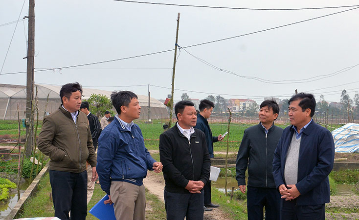 Đồng chí Phó Chủ tịch Thường trực UBND tỉnh kiểm tra tình hình sản xuất vụ đông-xuân tại huyện Quảng Trạch và TX. Ba Đồn