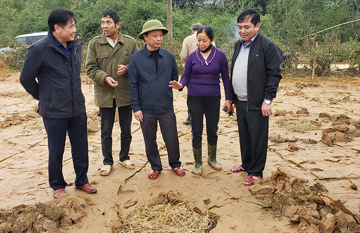 Tập trung khắc phục khó khăn, khôi phục sản xuất nông nghiệp sau lũ
