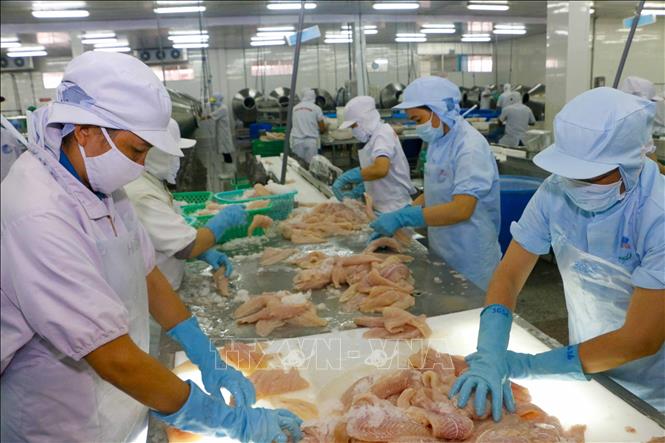 Bộ Tài chính nghiên cứu gói hỗ trợ mới cho doanh nghiệp bị tác động bởi COVID-19