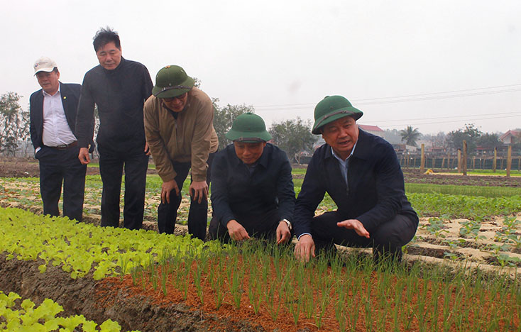 Thứ trưởng Bộ Nông nghiệp-PTNT kiểm tra tình hình khôi phục sản xuất sau mưa lũ tại Quảng Bình