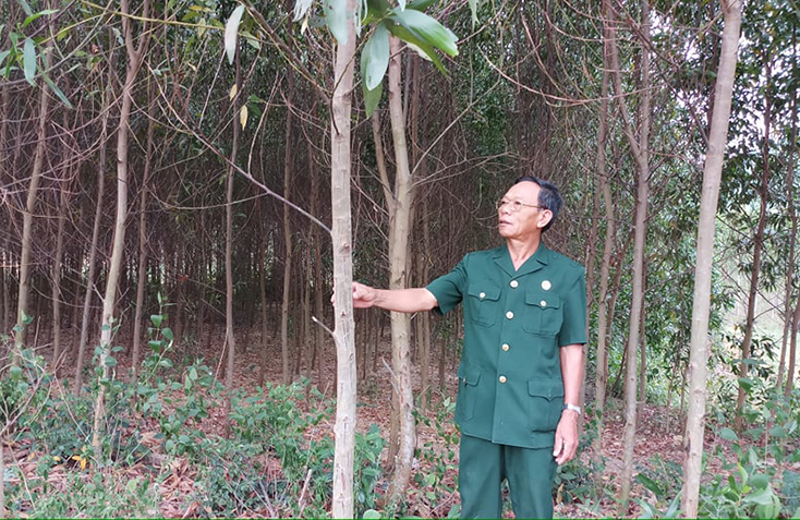 Hội CCB Quảng Trạch: Phát huy phẩm chất "Bộ đội Cụ Hồ"