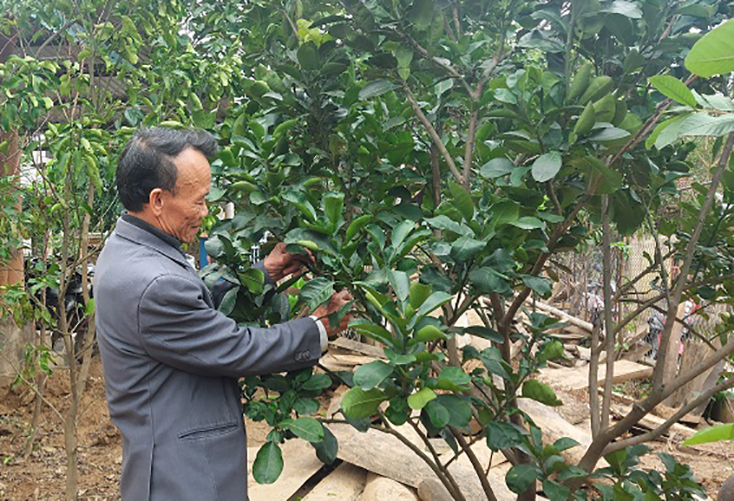 Người cựu chiến binh làm giàu từ mô hình kinh tế trang trại