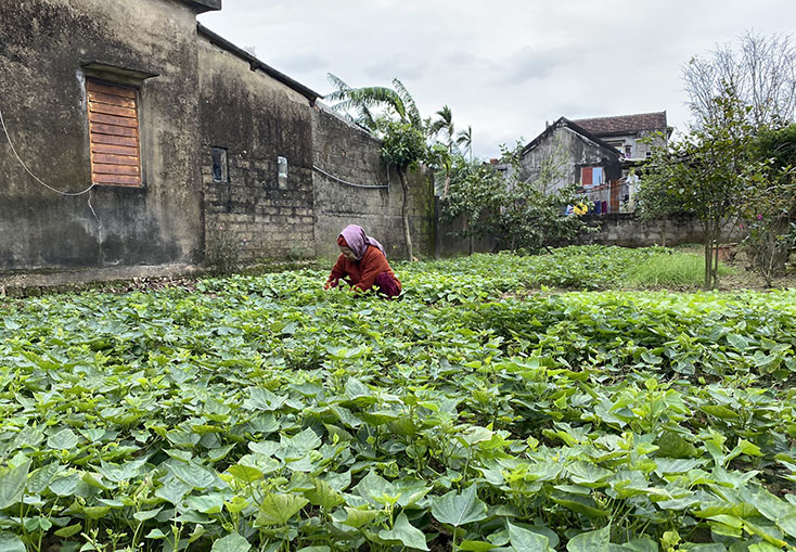 Lệ Thuỷ và một năm vượt khó