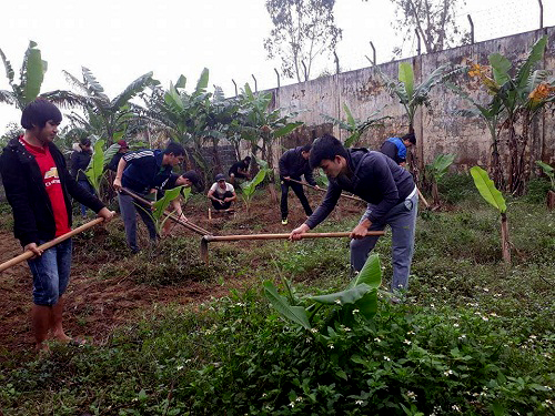 Nâng cao hiệu quả hoạt động của Cơ sở cai nghiện ma túy tỉnh