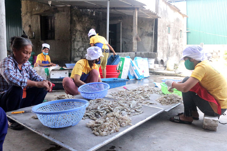 Quảng Ninh: Phát triển các chuỗi sản phẩm theo tiêu chuẩn OCOP
