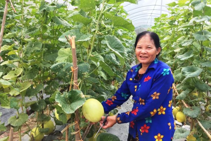 Quỹ "Hỗ trợ phụ nữ phát triển": Đồng hành cùng phụ nữ nghèo