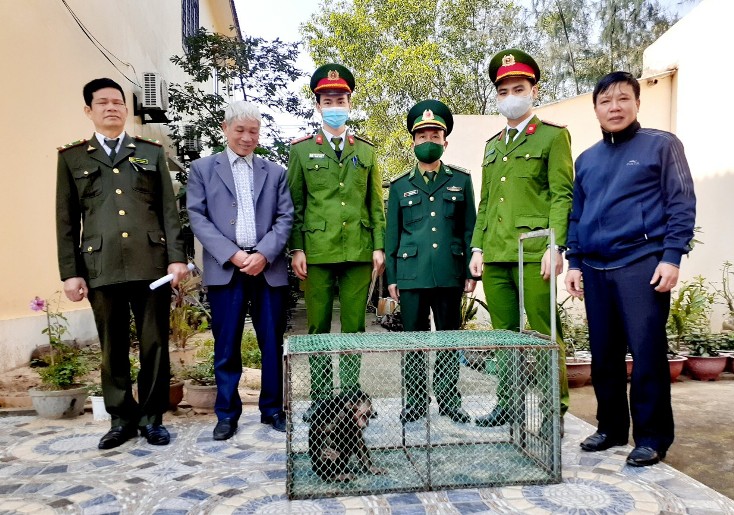 Vận động người dân giao nộp cá thể khỉ