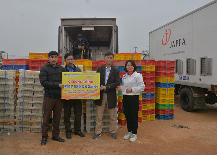 Trao 37.000 con gà giống cho người dân huyện Quảng Ninh