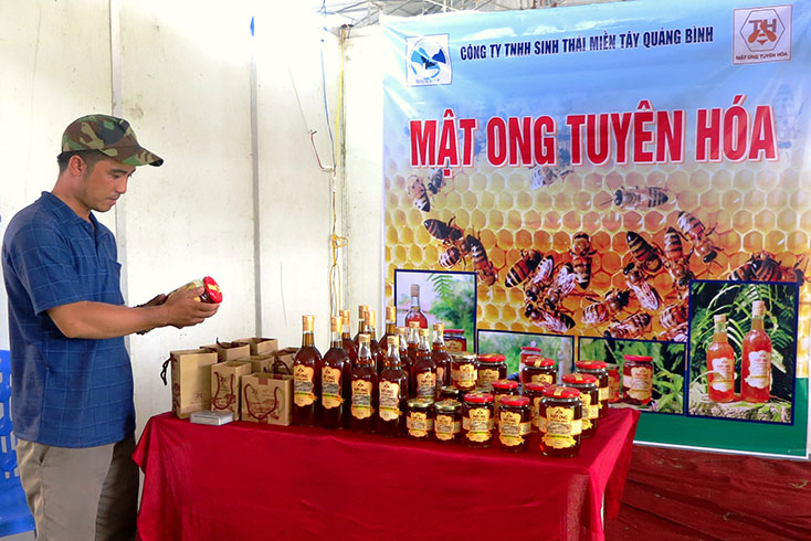 Sàn giao dịch thương mại điện tử Quảng Bình: Kết nối doanh nghiệp với người tiêu dùng