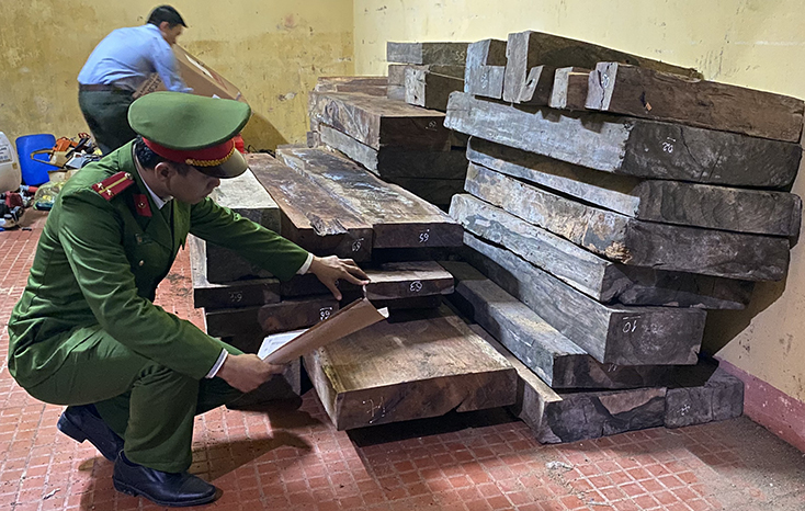 Bắt giữ vụ tàng trữ số lượng lớn gỗ không có giấy tờ hợp pháp