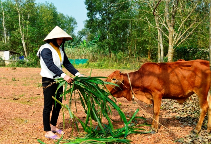 Không chịu đói nghèo