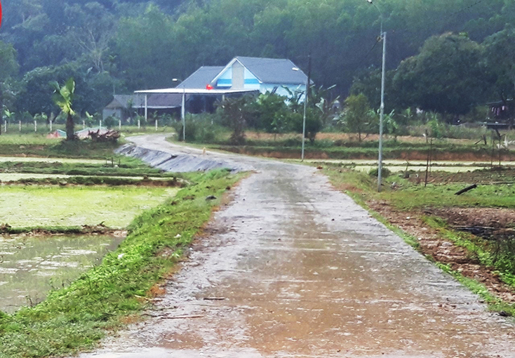 Nhận diện những vụ án tham nhũng và hành vi "tham nhũng vặt"