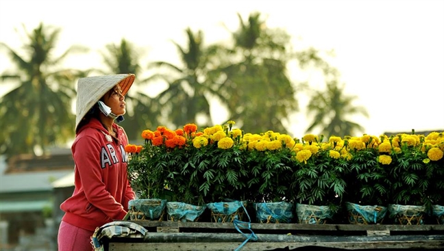 Bâng khuâng tháng chạp
