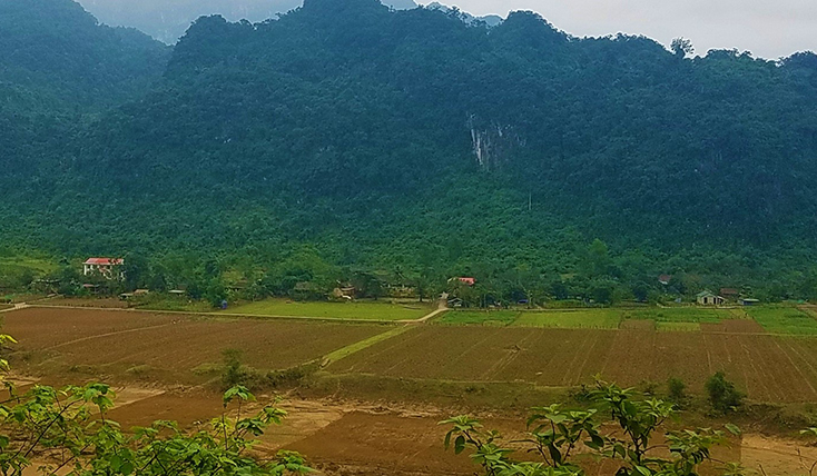 Vùng lũ có kịp đón xuân sang?