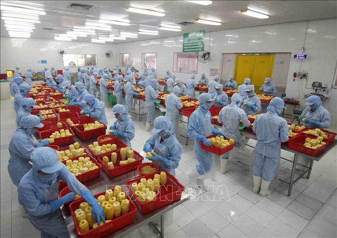 Phấn đấu xuất khẩu nông-lâm-thủy sản đạt 60-62 tỷ USD năm 2030