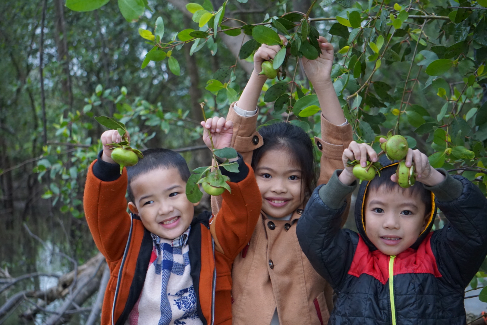 Chuyện kể dưới rừng bần