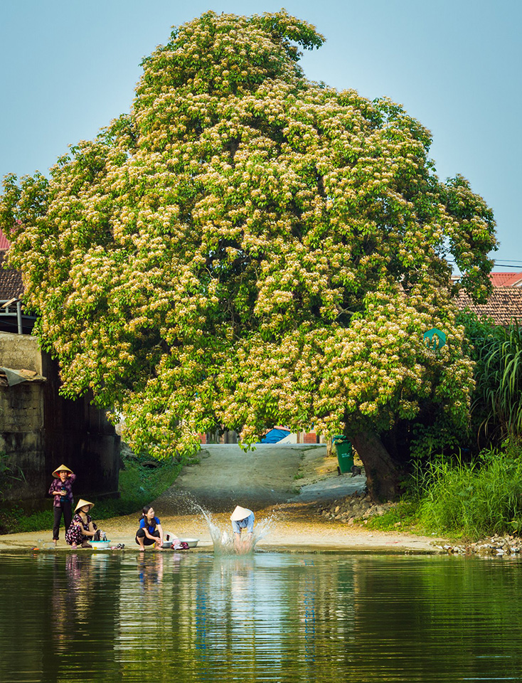 Kỷ vật của tiền nhân