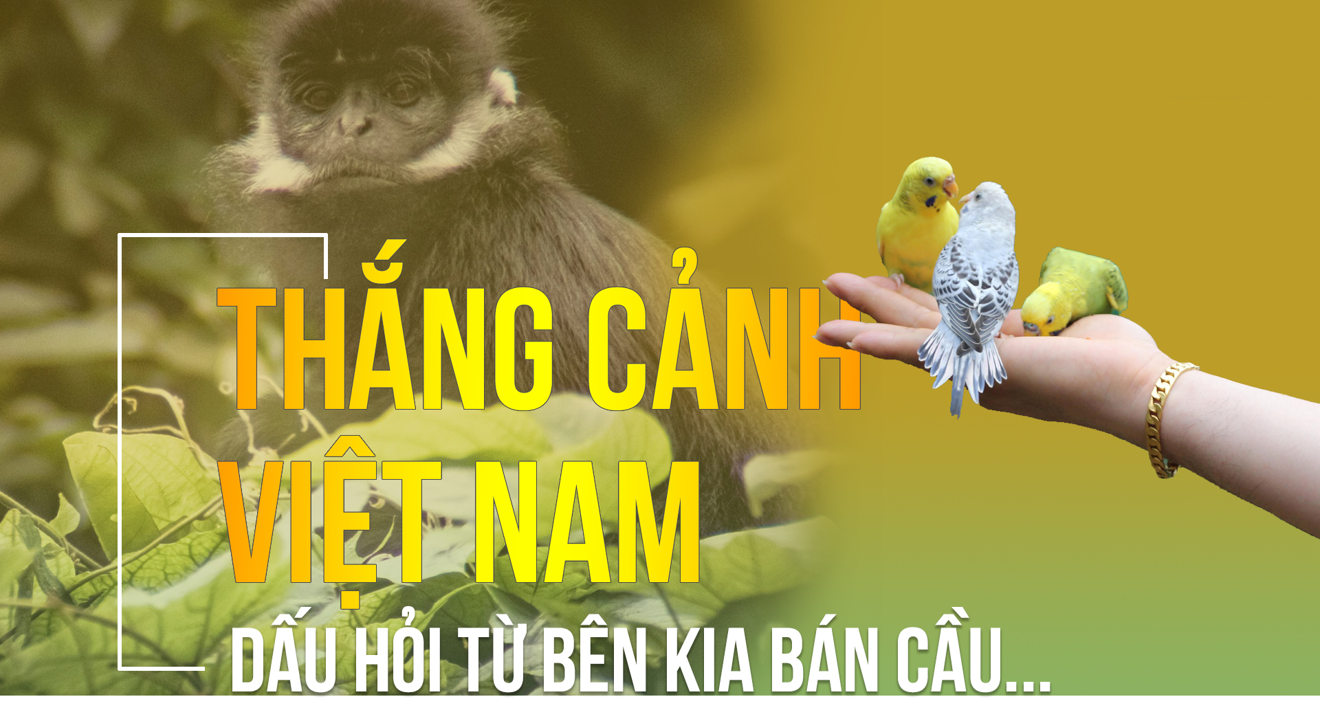 Thắng cảnh Việt Nam: Dấu hỏi từ bên kia bán cầu