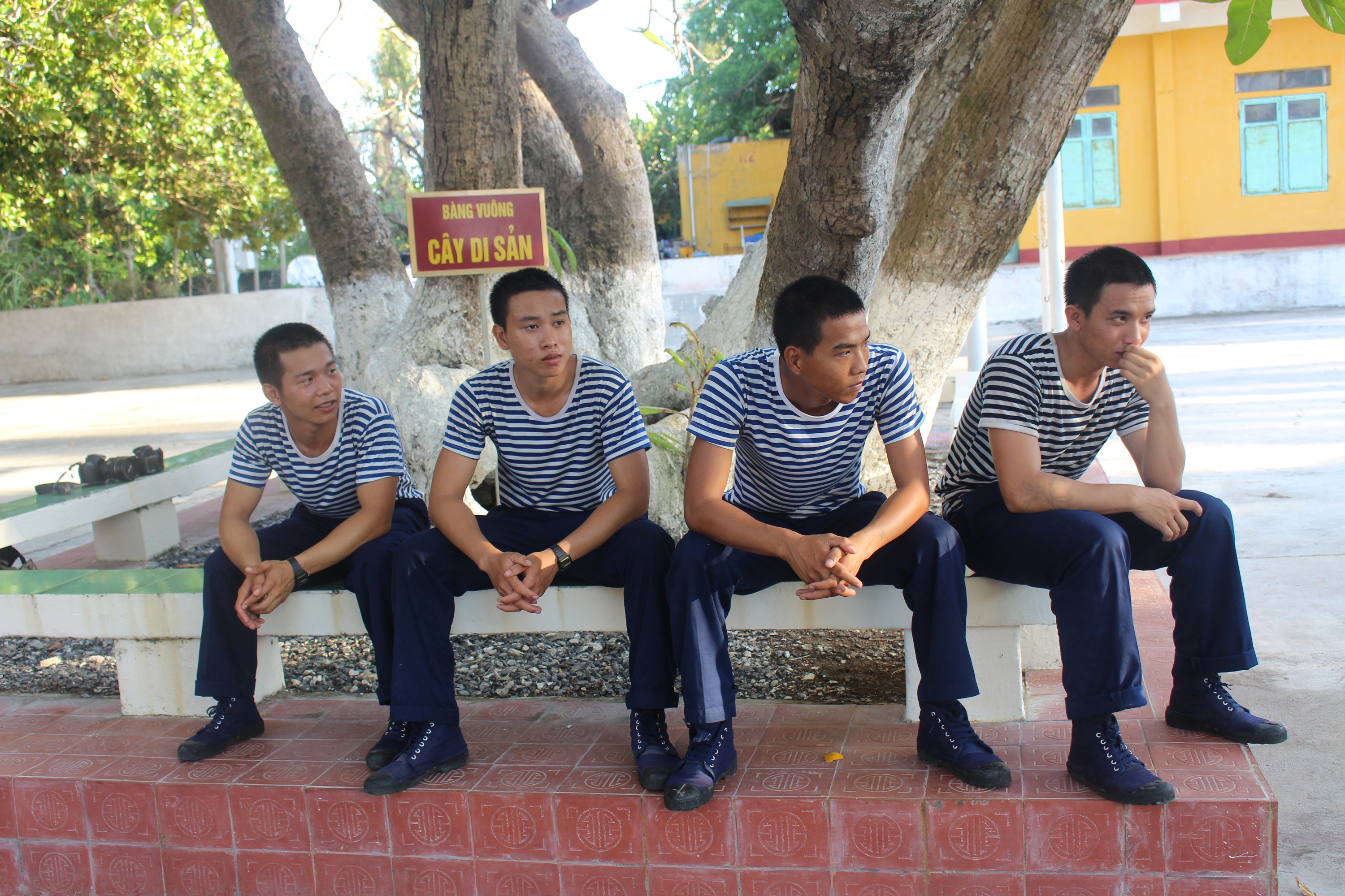 Cây di sản ở Trường Sa