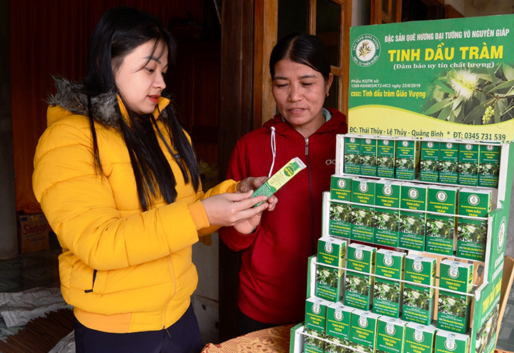 Xã Thái Thủy (Lệ Thủy): Chủ động nguyên liệu sản xuất tinh dầu tràm