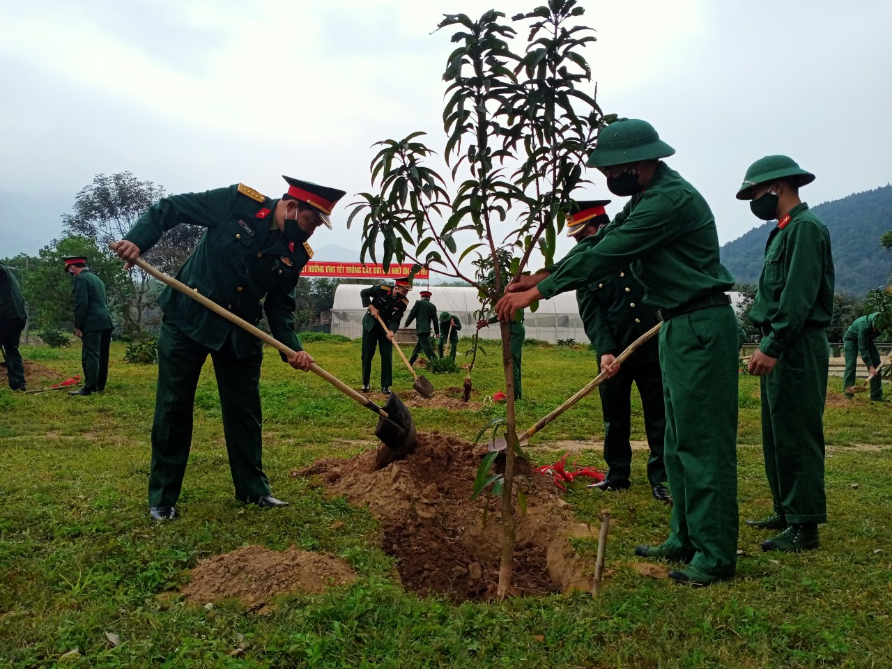 Các đơn vị, địa phương tổ chức Tết trồng cây năm 2021