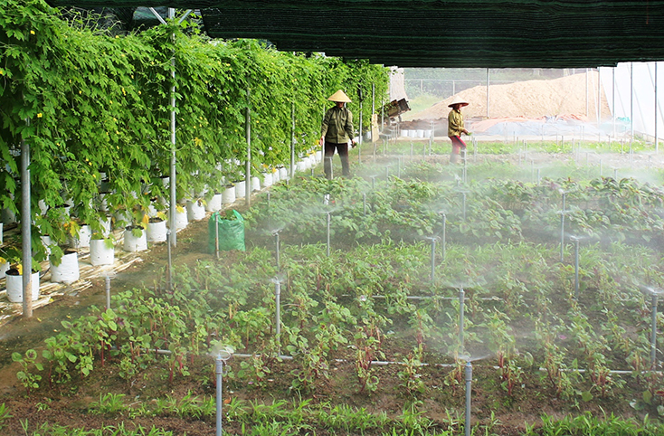 Đào tạo nghề nông nghiệp: "Chìa khóa" giảm nghèo bền vững