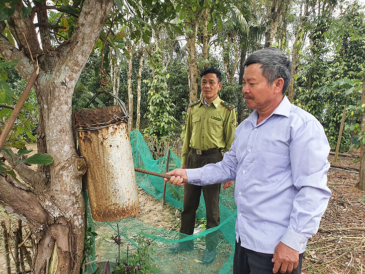 Tiếng kẻng giữ rừng