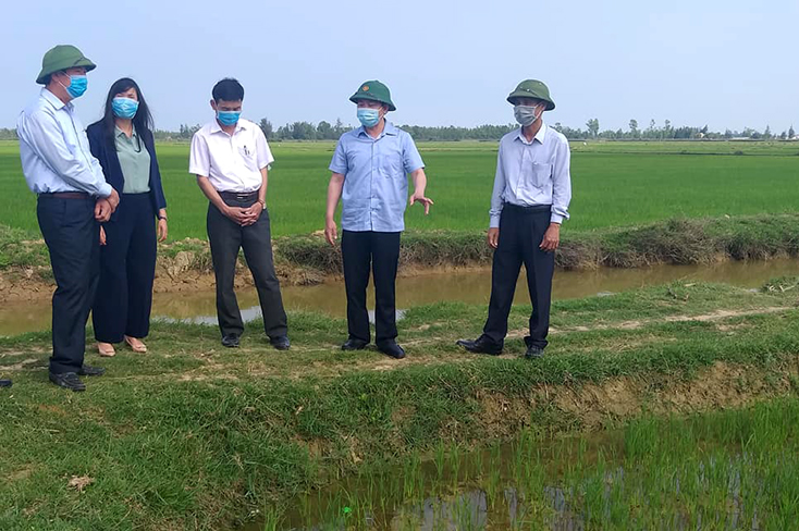 Quảng Ninh: Kiểm tra sản xuất đầu năm