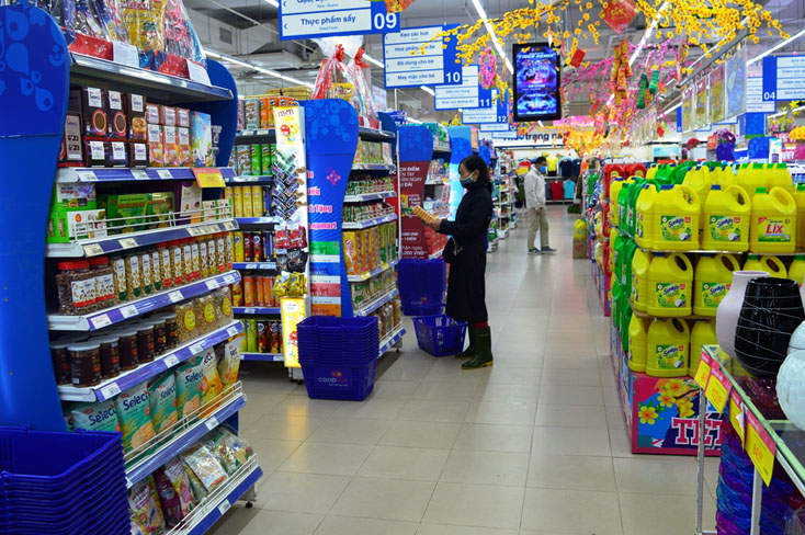 Thúc đẩy phát triển thương mại nội địa