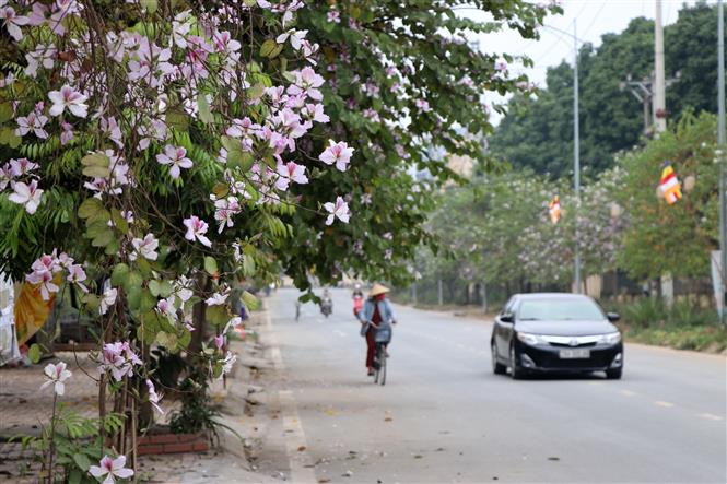Từ ngày 1 đến 10-3, Trung Bộ có lượng mưa cao hơn trung bình nhiều năm