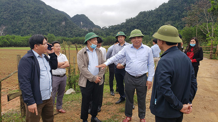 Đồng chí Phó Chủ tịch Thường trực UBND tỉnh kiểm tra tình hình sản xuất nông nghiệp tại Minh Hóa