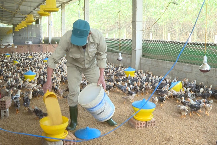 Minh Hóa: Có thêm 1 sản phẩm OCOP đạt tiêu chuẩn 3 sao cấp tỉnh