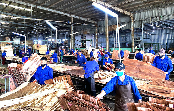 Thành lập các đại lý thuế: Bảo đảm lợi ích cho doanh nghiệp, người nộp thuế