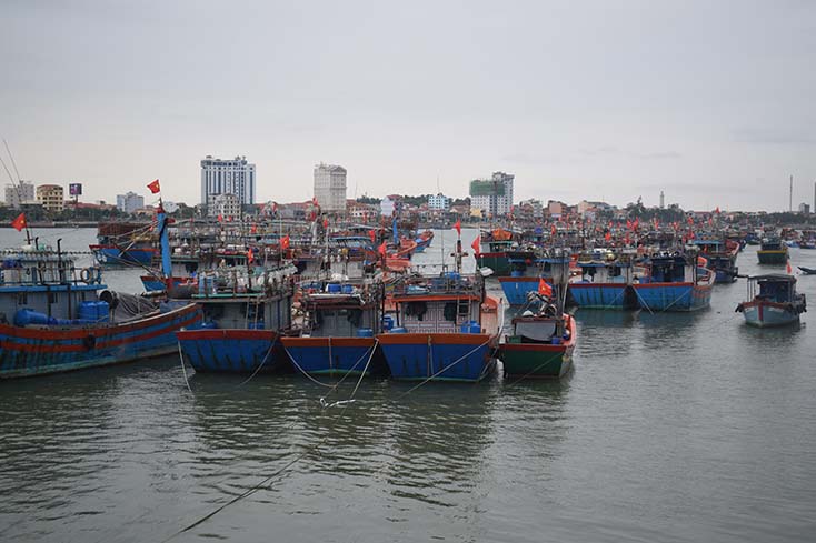 TP. Đồng Hới: Đẩy mạnh phát triển khai thác thủy hải sản