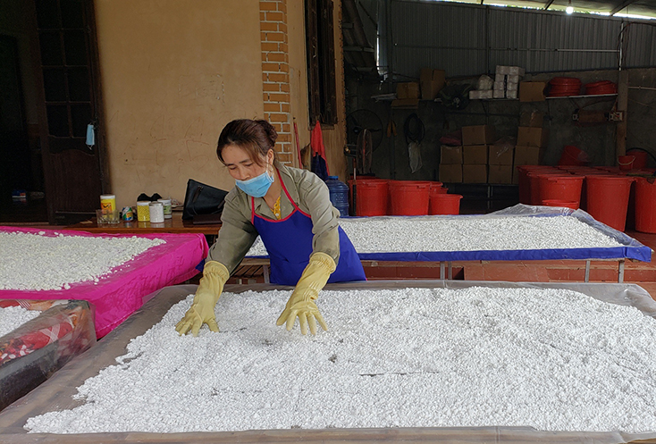 Hành trình đưa tinh bột mì tinh ra "biển lớn"
